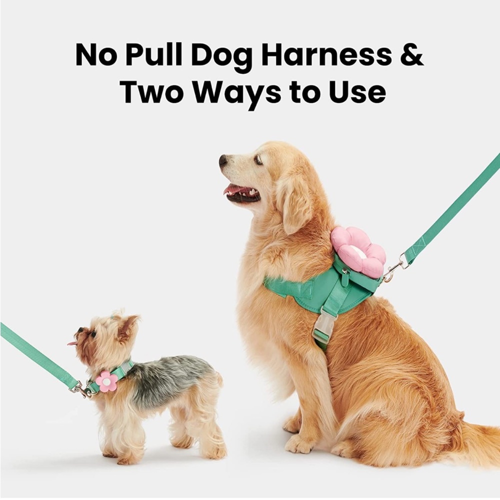 Dog leash